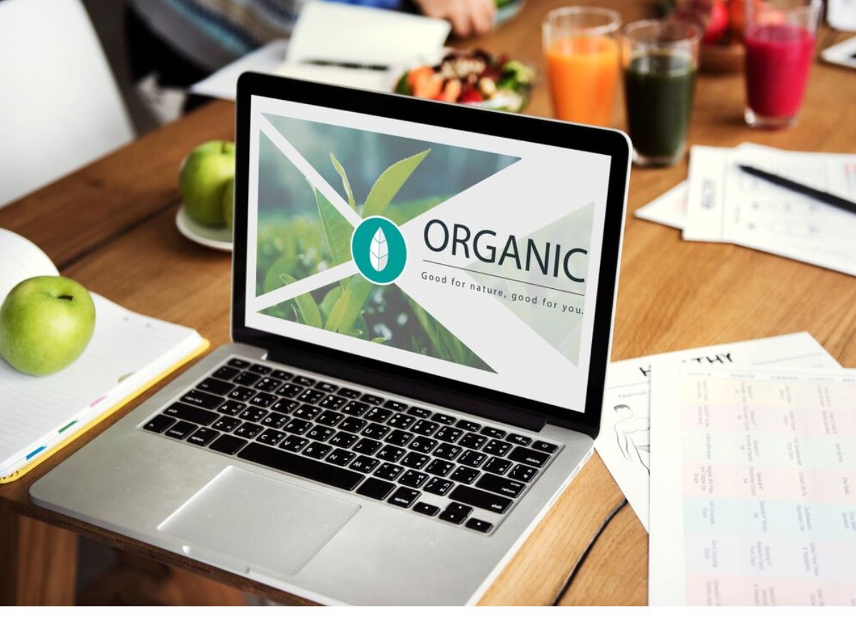 What Are the Key Benefits of Organic SEO for Your Business?